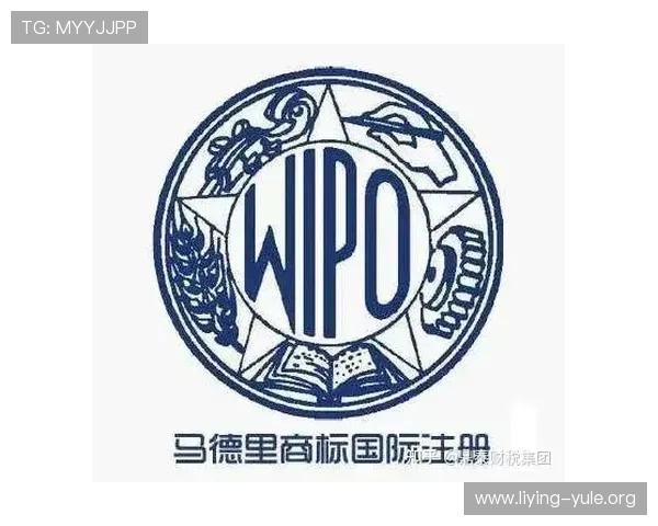 明珠国际：最新活动和优惠信息一站式获取的最佳途径介绍